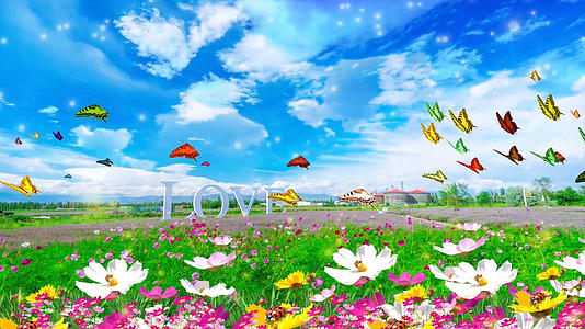 浪漫温馨花海蝴蝶合成背景视频的预览图