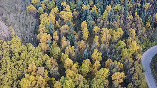 青海坎布拉森林秋季风光航拍4K视频视频的预览图