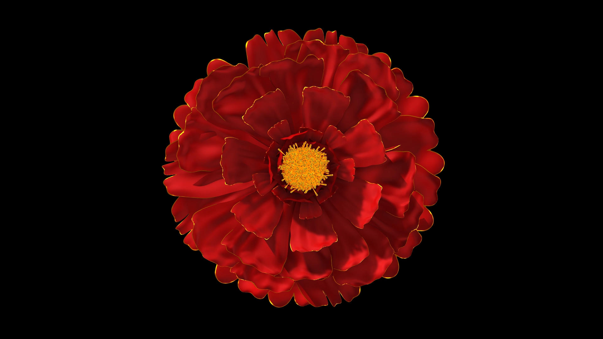 红色花朵盛开通道素材视频的预览图