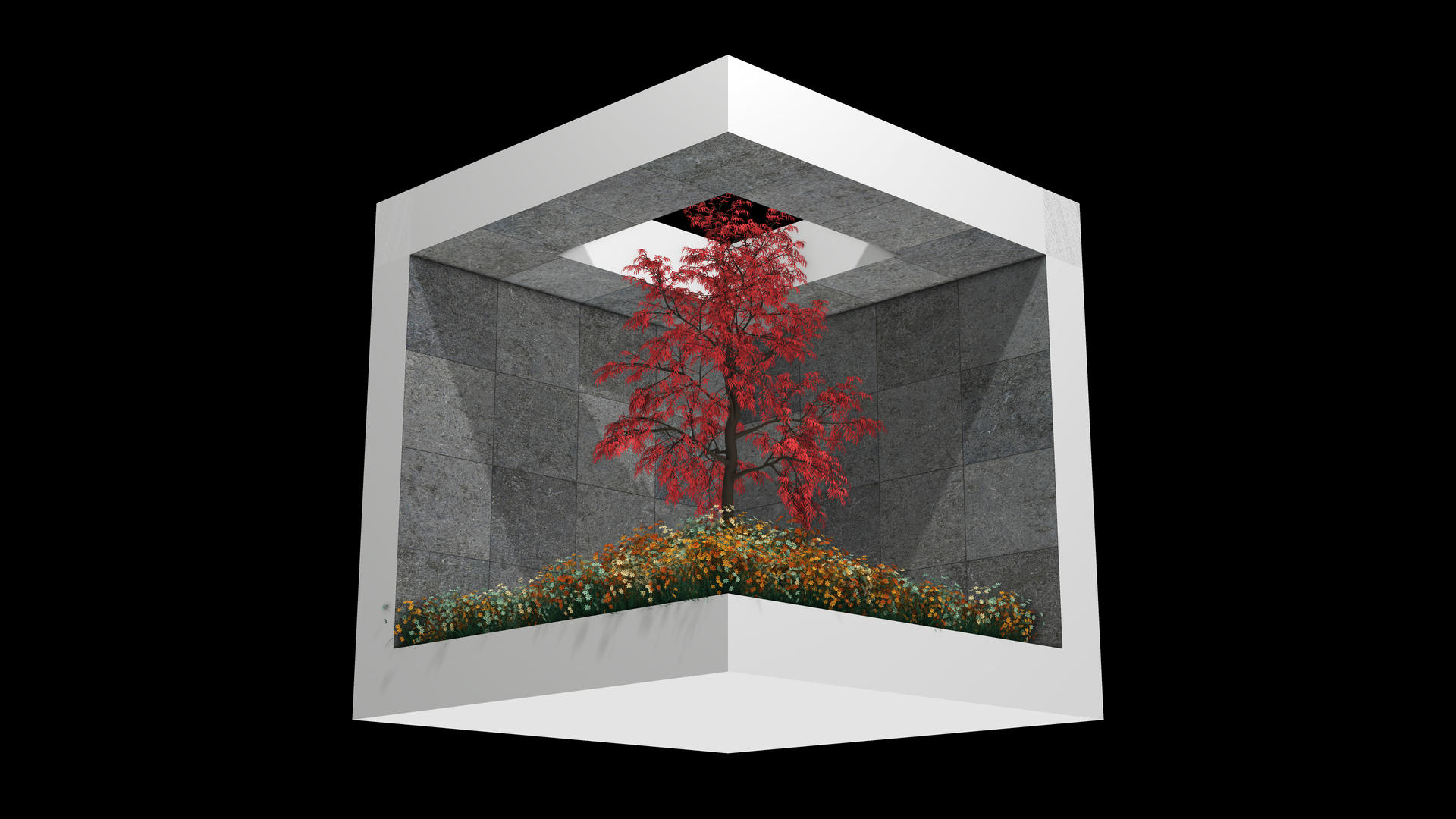 4K植物生长变化裸眼3D效果视频的预览图