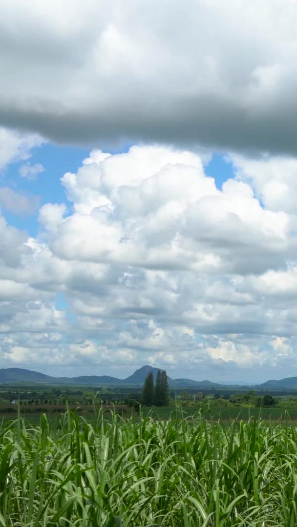 连绵不断的农田在蓝天白云下延迟视频的预览图