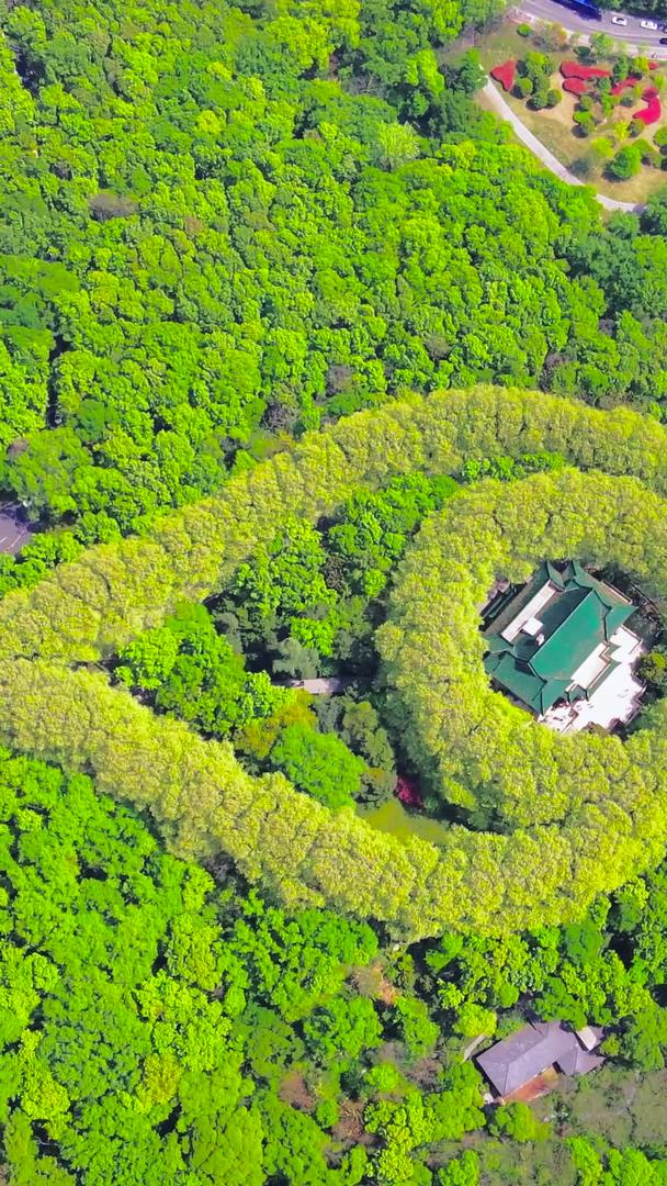 南京旅游5A景区中山陵美龄宫视频的预览图