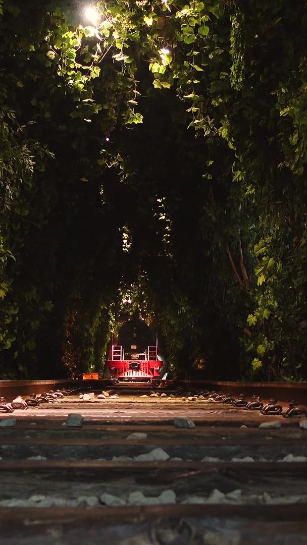 城市旅游地标爱情隧道夜景素材视频的预览图