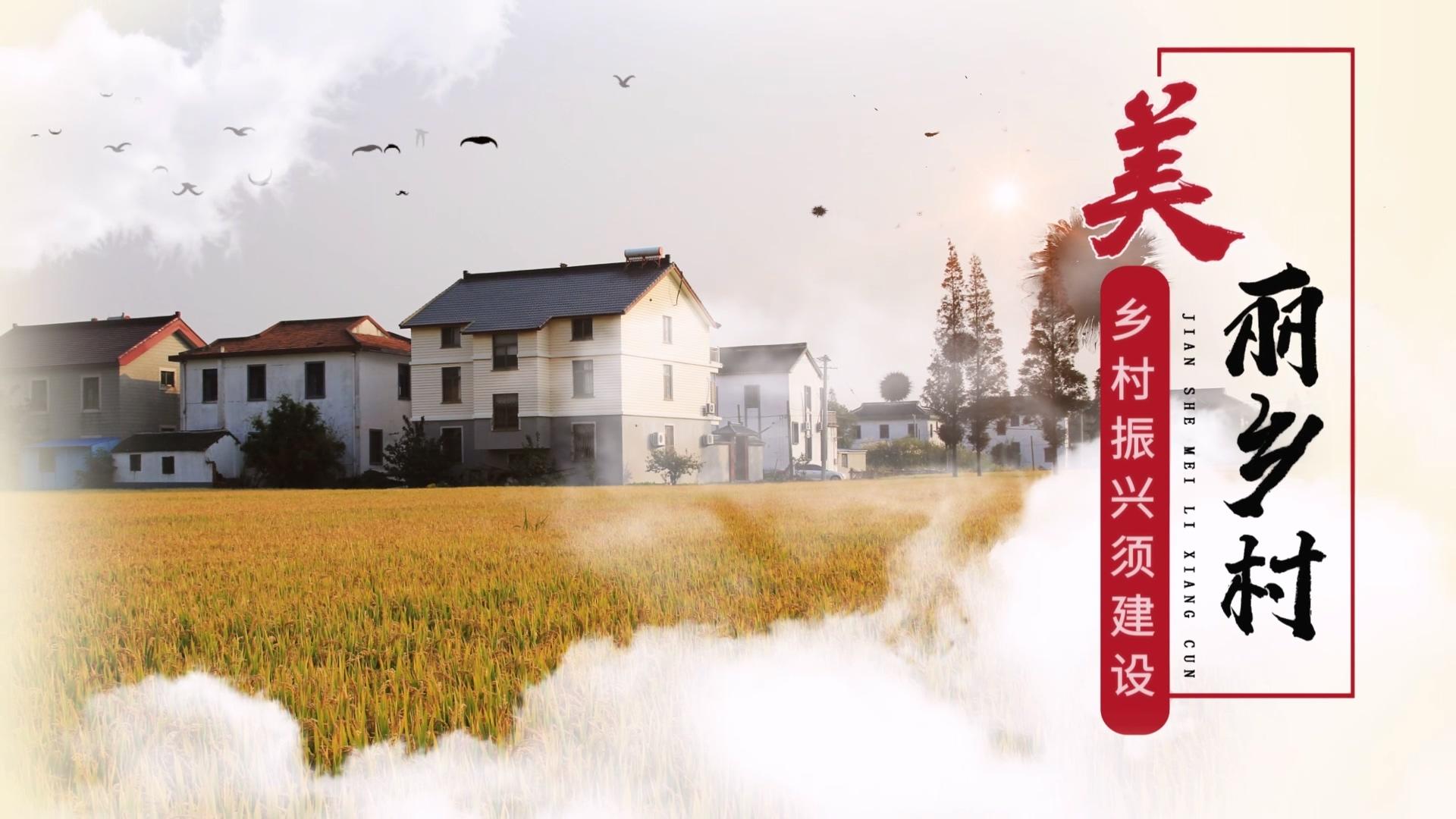 AE模板展示中国水墨风乡村振兴图文视频的预览图