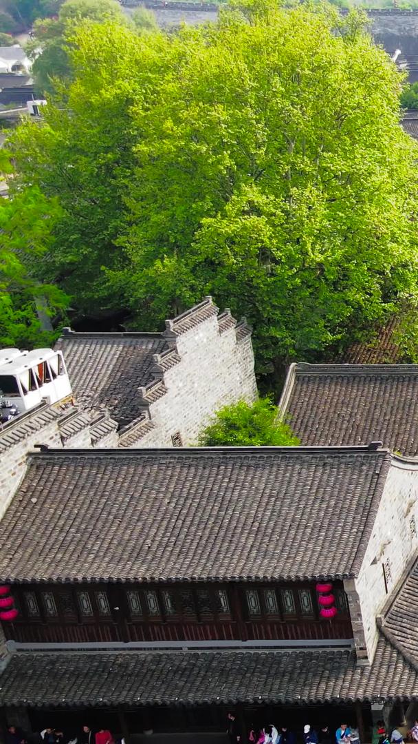 南京地标5A景区老门东11视频的预览图