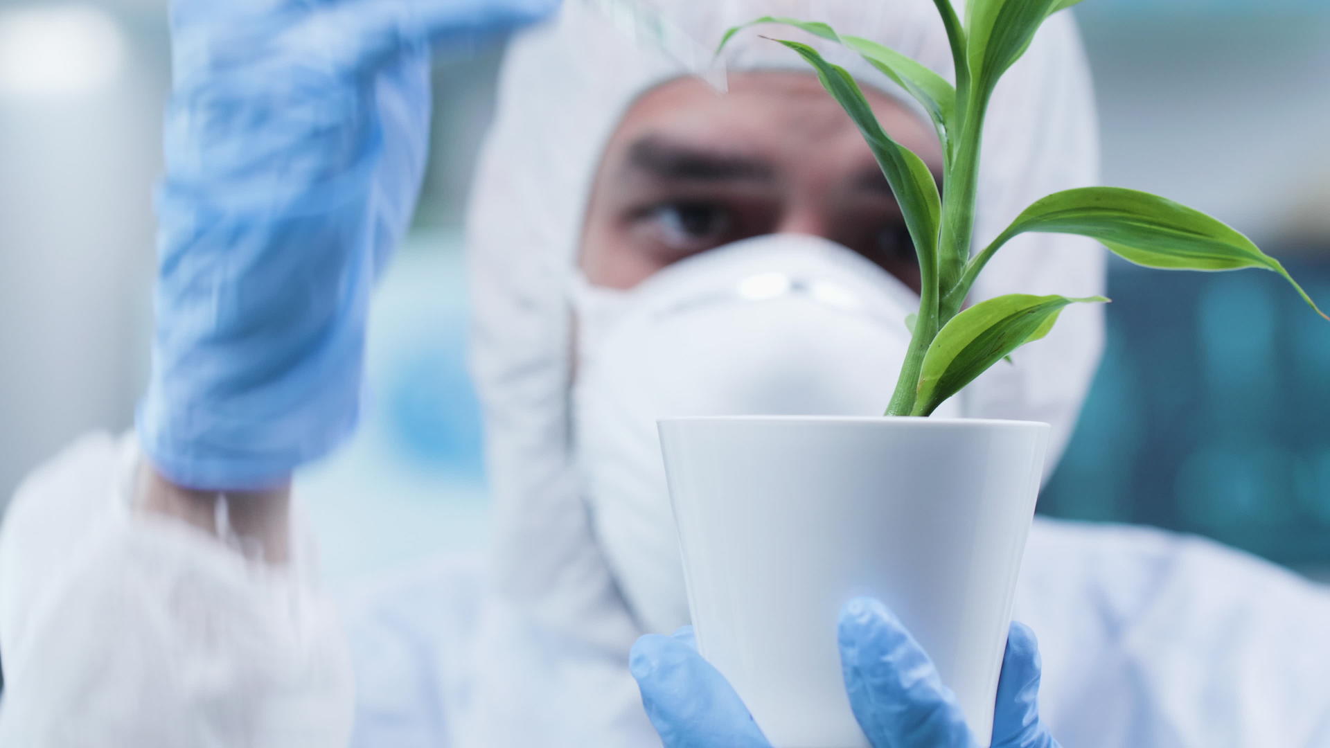 科学家们正在对绿色植物进行实验视频的预览图