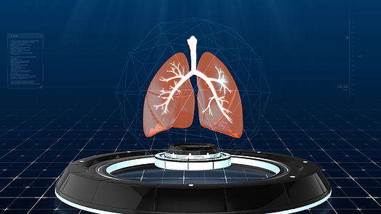 科技感肺部展示视频视频的预览图