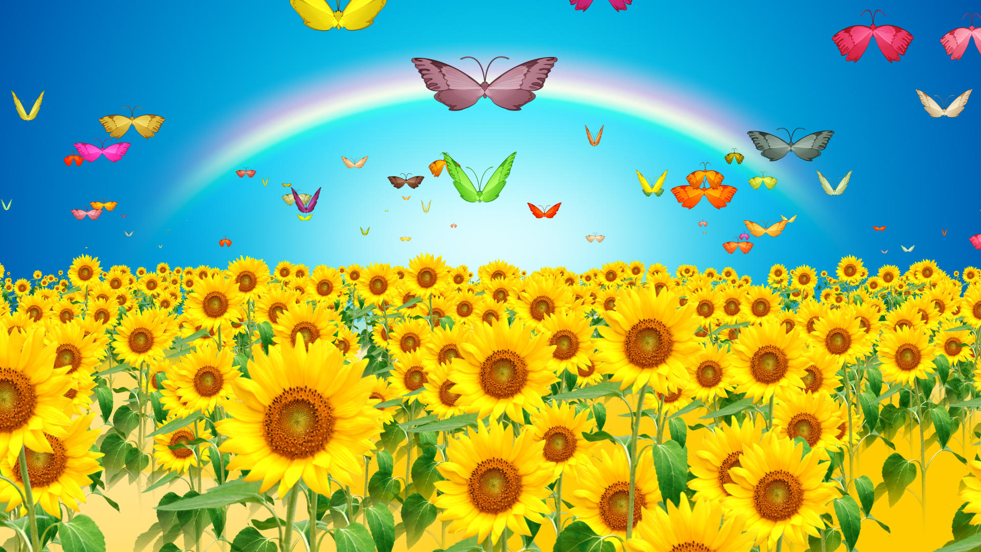 向日葵蝴蝶飞视频的预览图