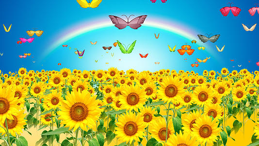 向日葵蝴蝶飞视频的预览图
