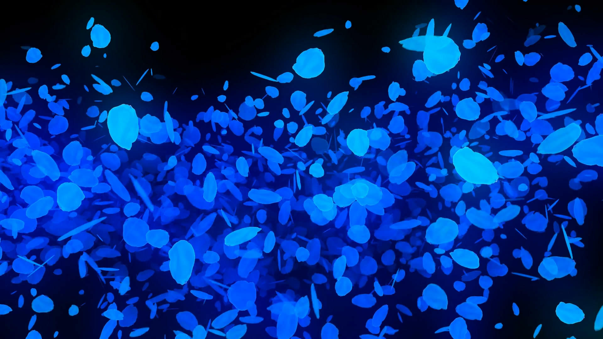 透明通道蓝色花瓣转场特效视频素材视频的预览图