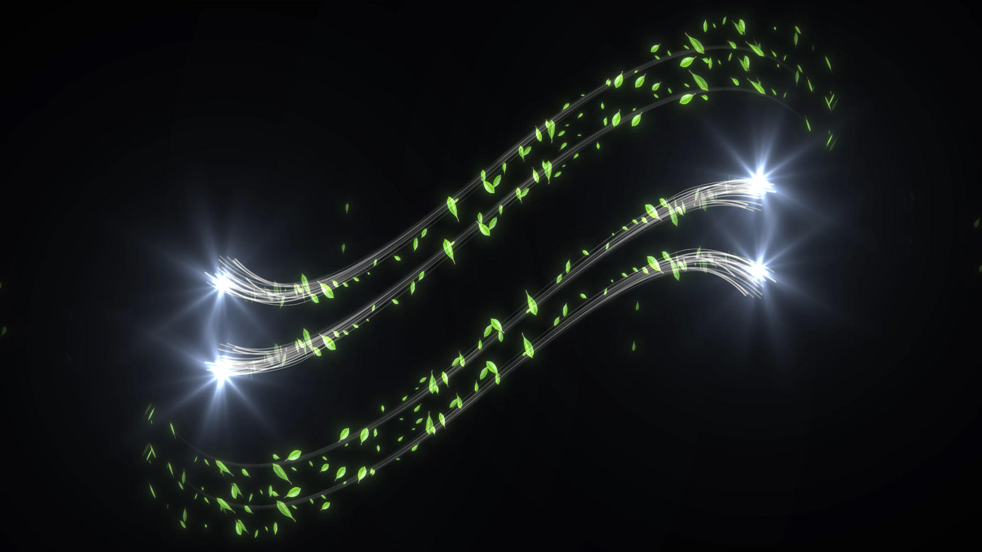 4k大气两组绿叶粒子光线转场动画元素带通道视频的预览图