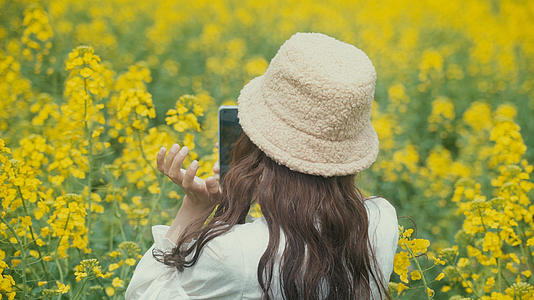 4K少女在花丛花海中拍照打卡实拍视频视频的预览图
