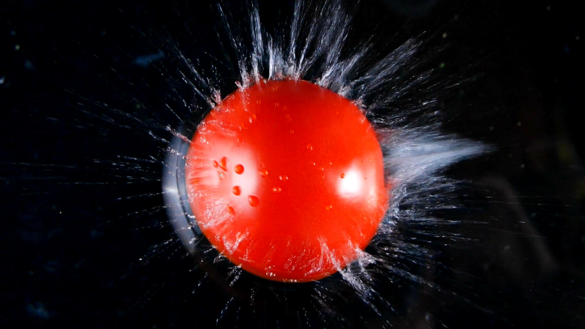 升格西红柿入水番茄蔬菜视频的预览图