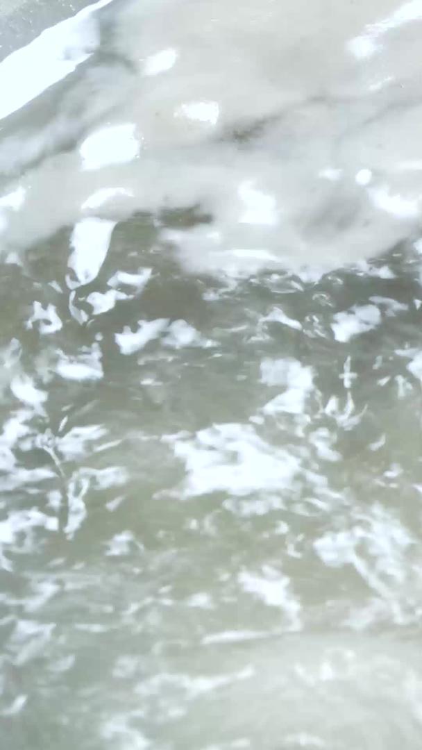 海带排骨汤炖汤养生汤视频的预览图