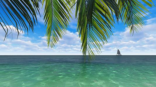 唯美蓝天白云大海椰子树视频的预览图
