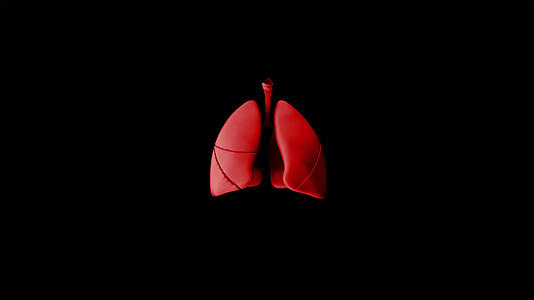4K肺部解剖动画元素带透明度视频的预览图