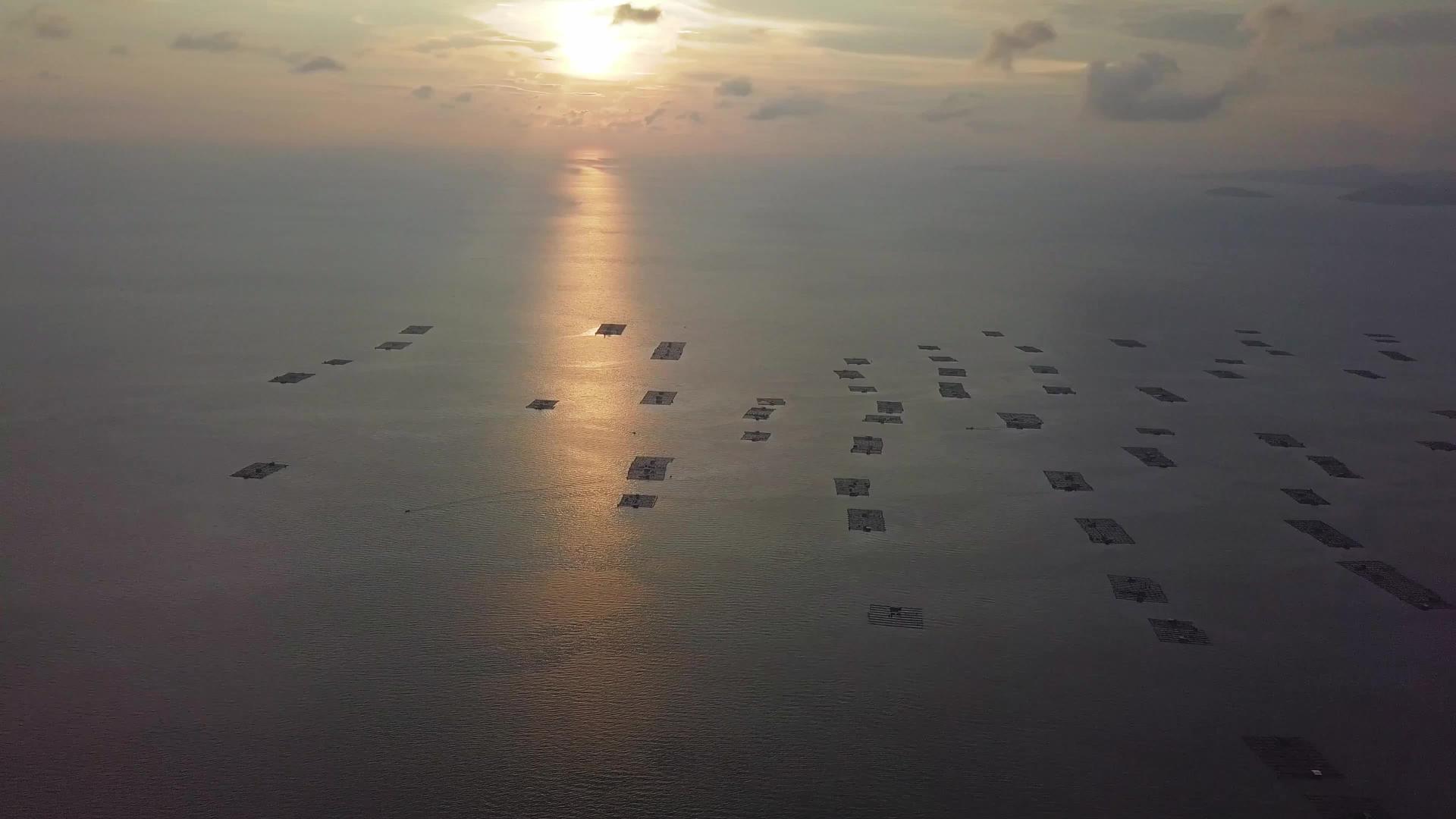 日落时海上中的鱼场视频的预览图