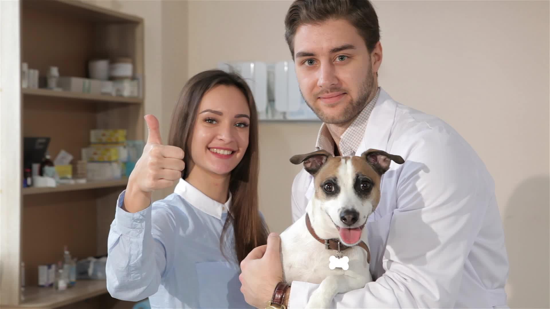 兽医和狗及其主人一起摆姿势视频的预览图
