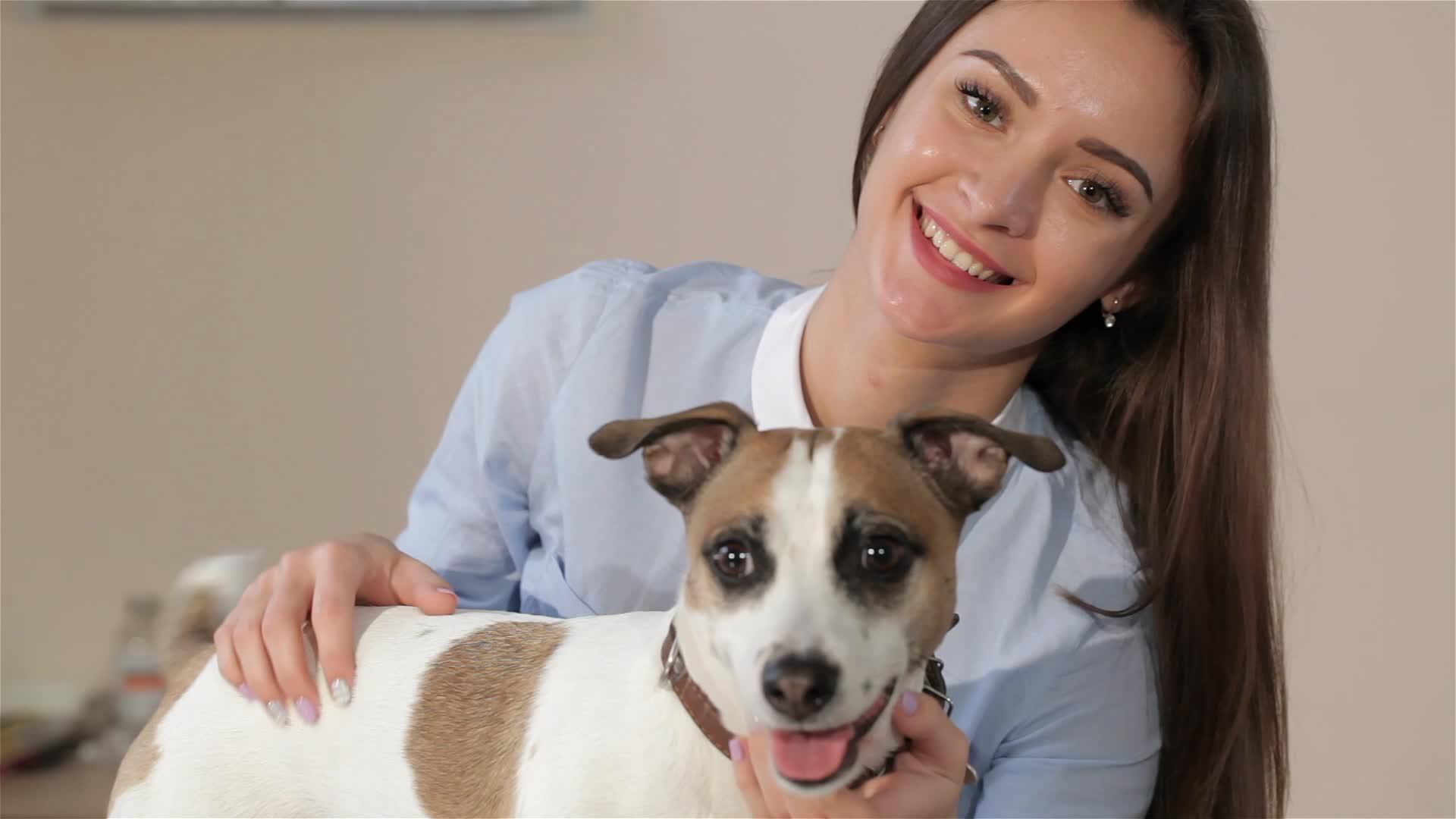 兽医诊所的女宠养狗视频的预览图