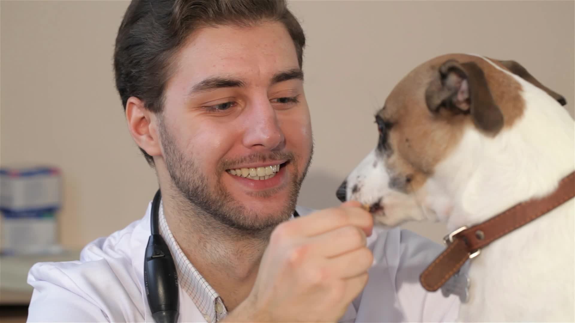 兽医喂狗视频的预览图