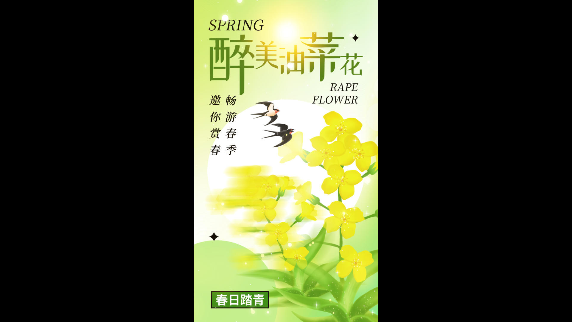 春游清新春游遍地油菜花视频竖版视频海报视频的预览图