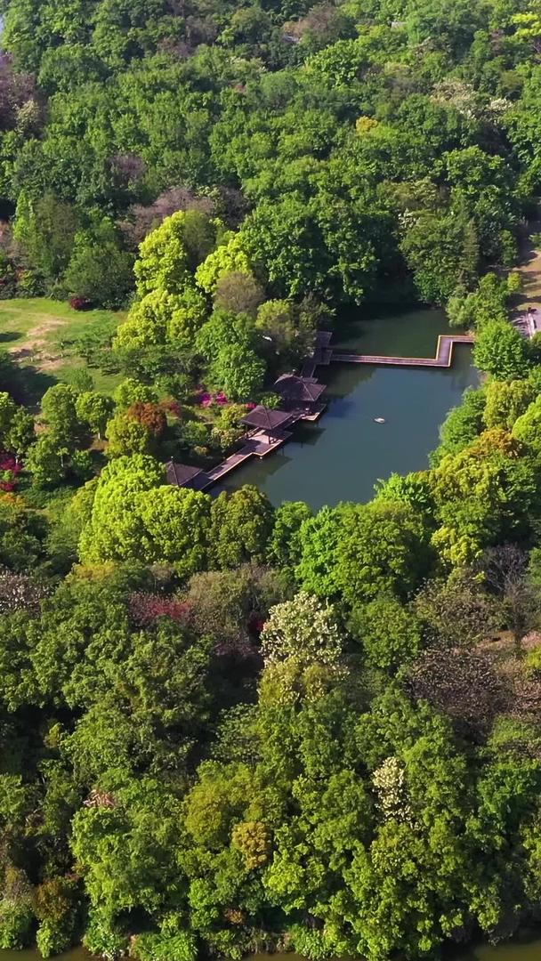 春秋淹城遗址5A景区公园内城河视频视频的预览图