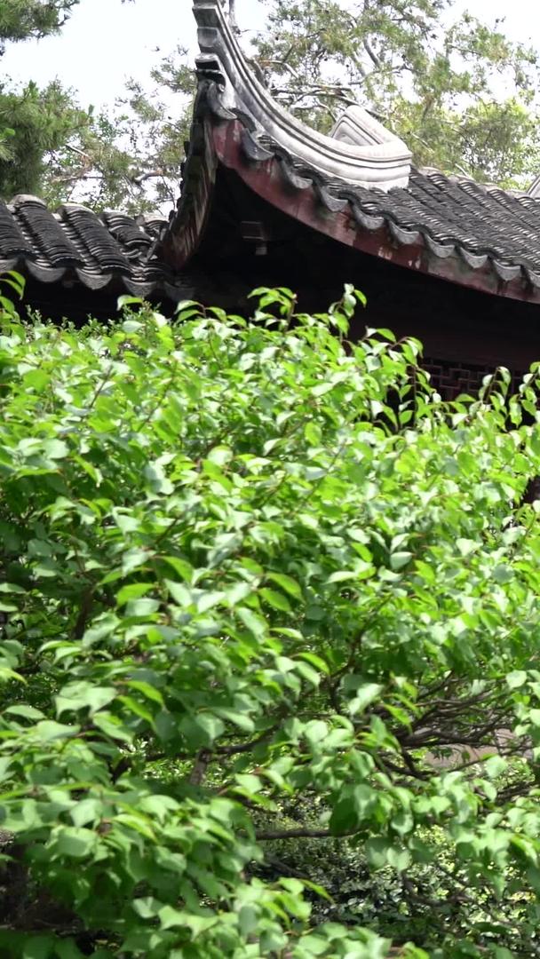 苏州古典园林环秀山庄飞雪泉视频的预览图
