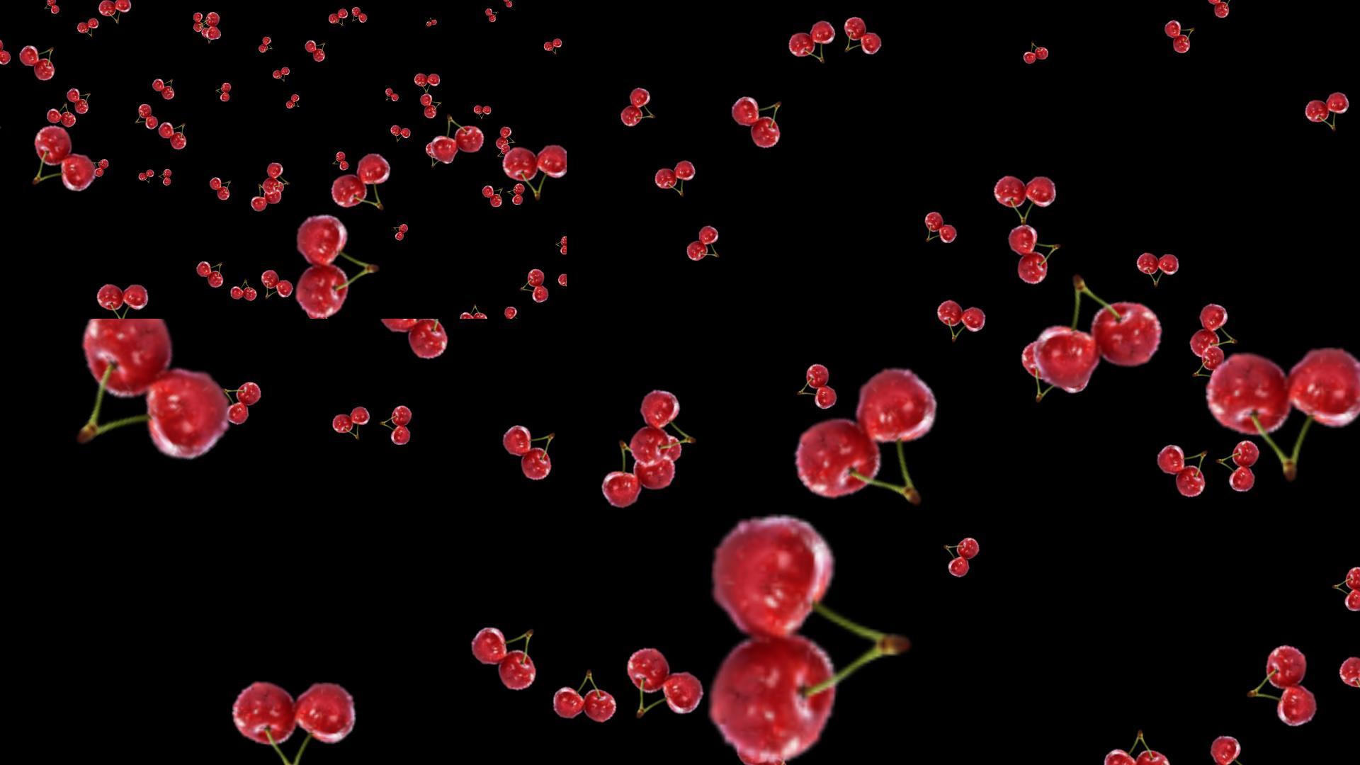水果樱桃背景视频带通道视频的预览图