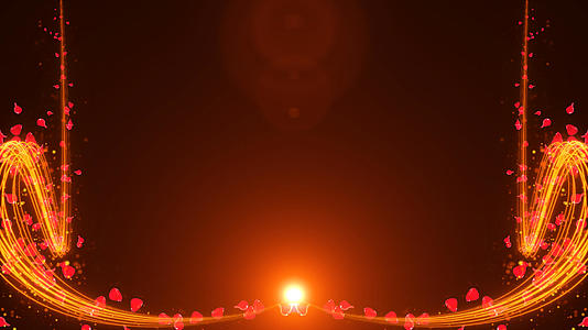 玫瑰花瓣聚合光束转场潮点视频_400756730视频的预览图
