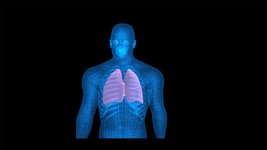 4K医学人体肺部心脏动画带透明度视频的预览图