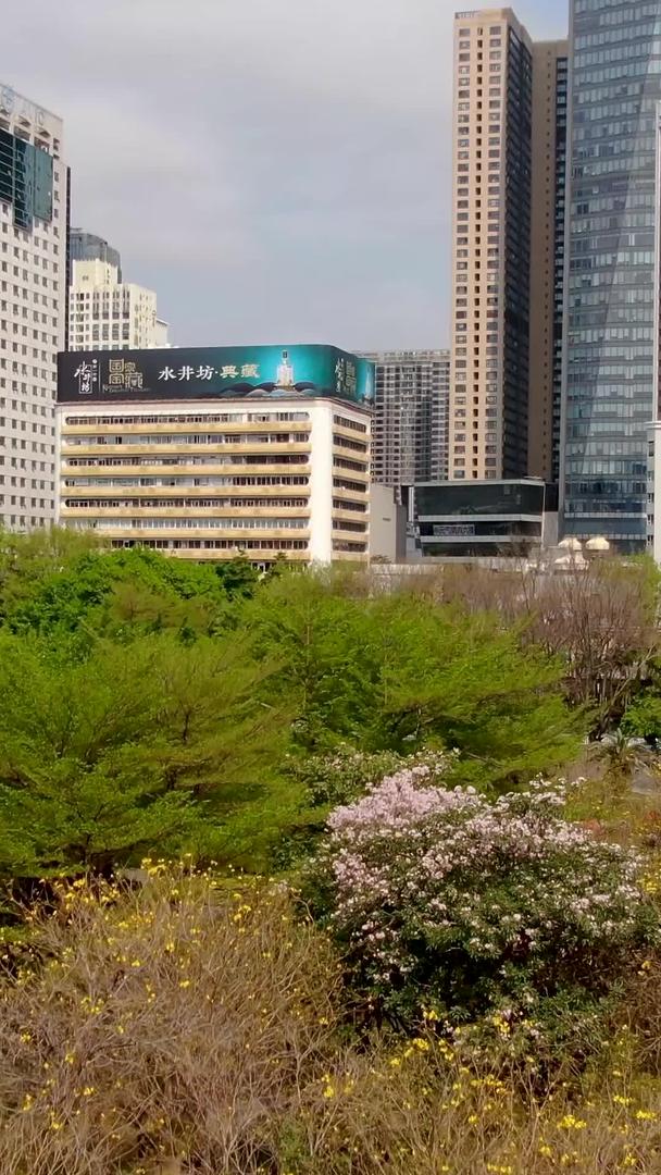 CBD高楼深圳中心航拍视频的预览图