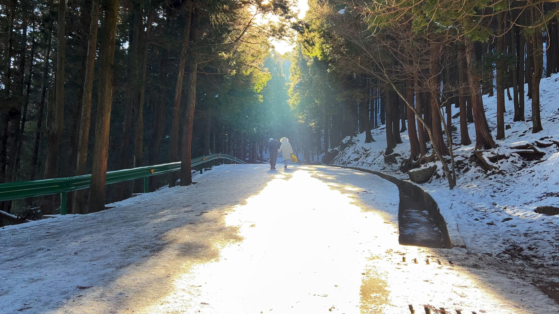 冬季旅游庐山景区登山路上飘雪中行走的游客4k素材视频的预览图