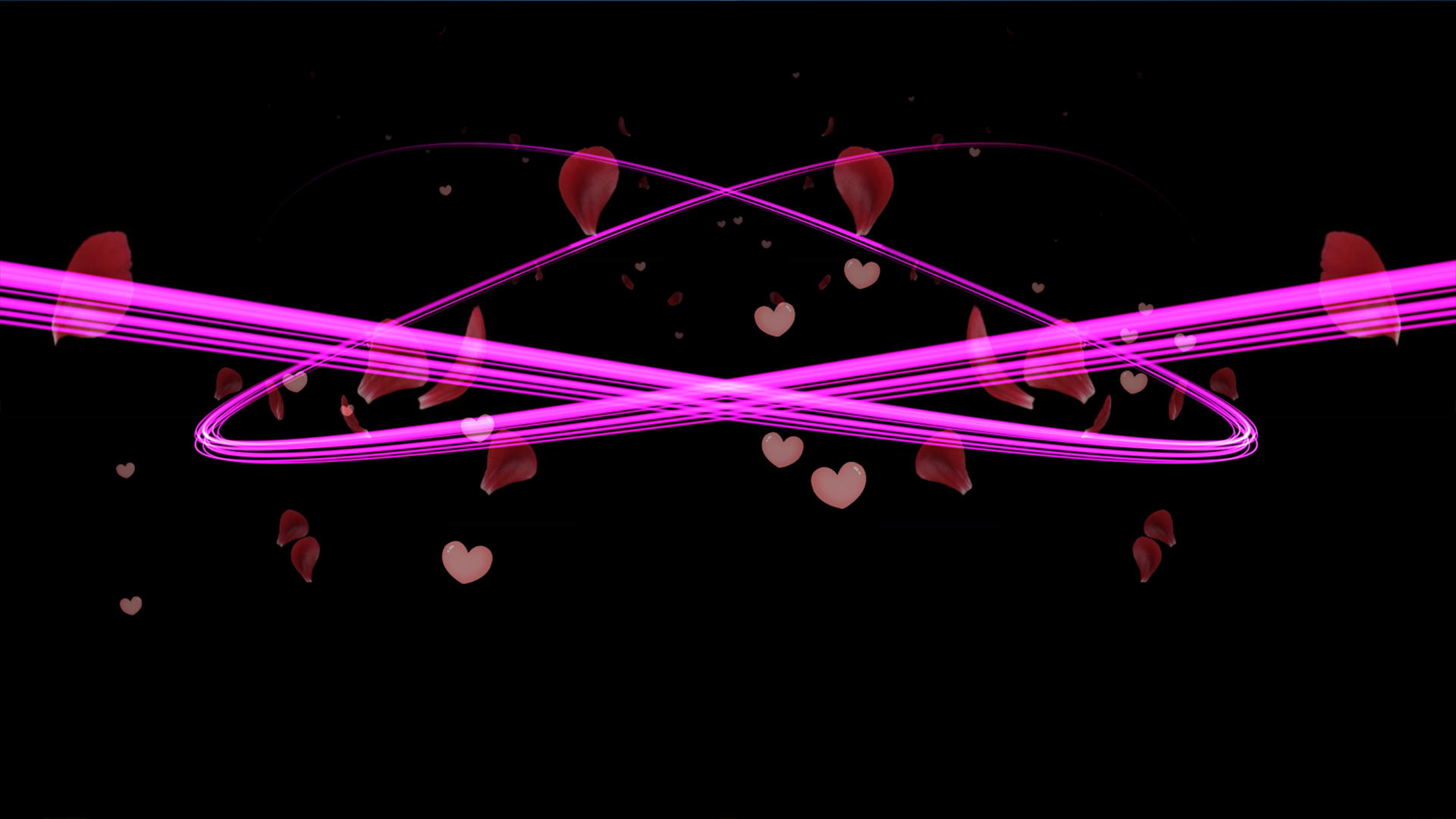 4K玫瑰花粒子光线转场动画元素视频的预览图