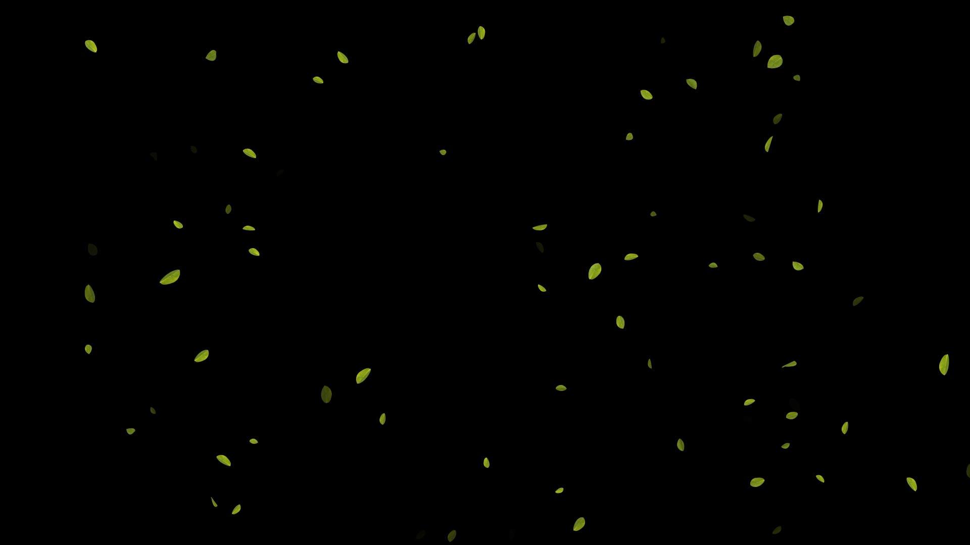 绿叶飘落透明背景视频的预览图