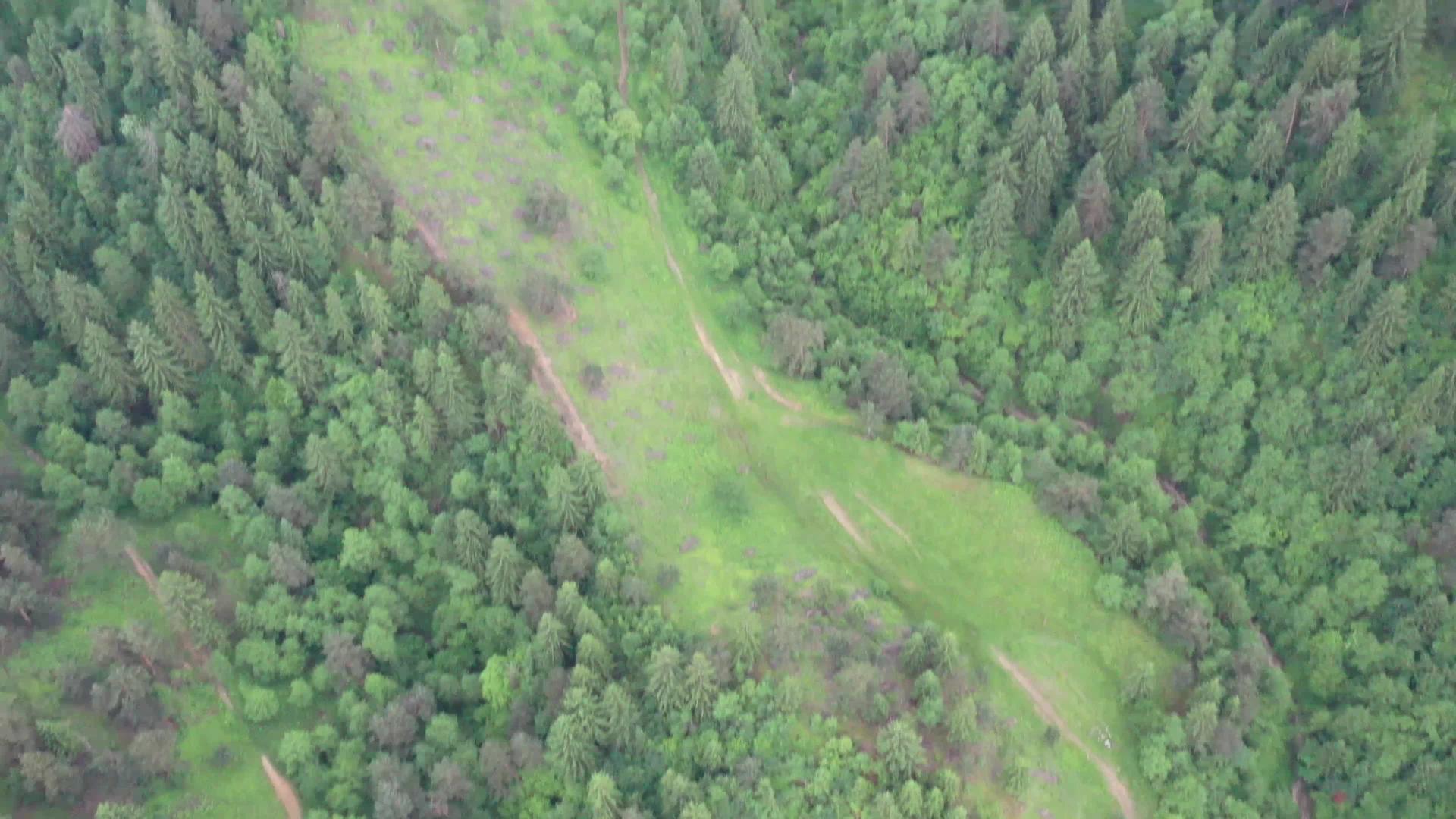 从上面看绿色的牧场和树木观察夏天的空气视频的预览图