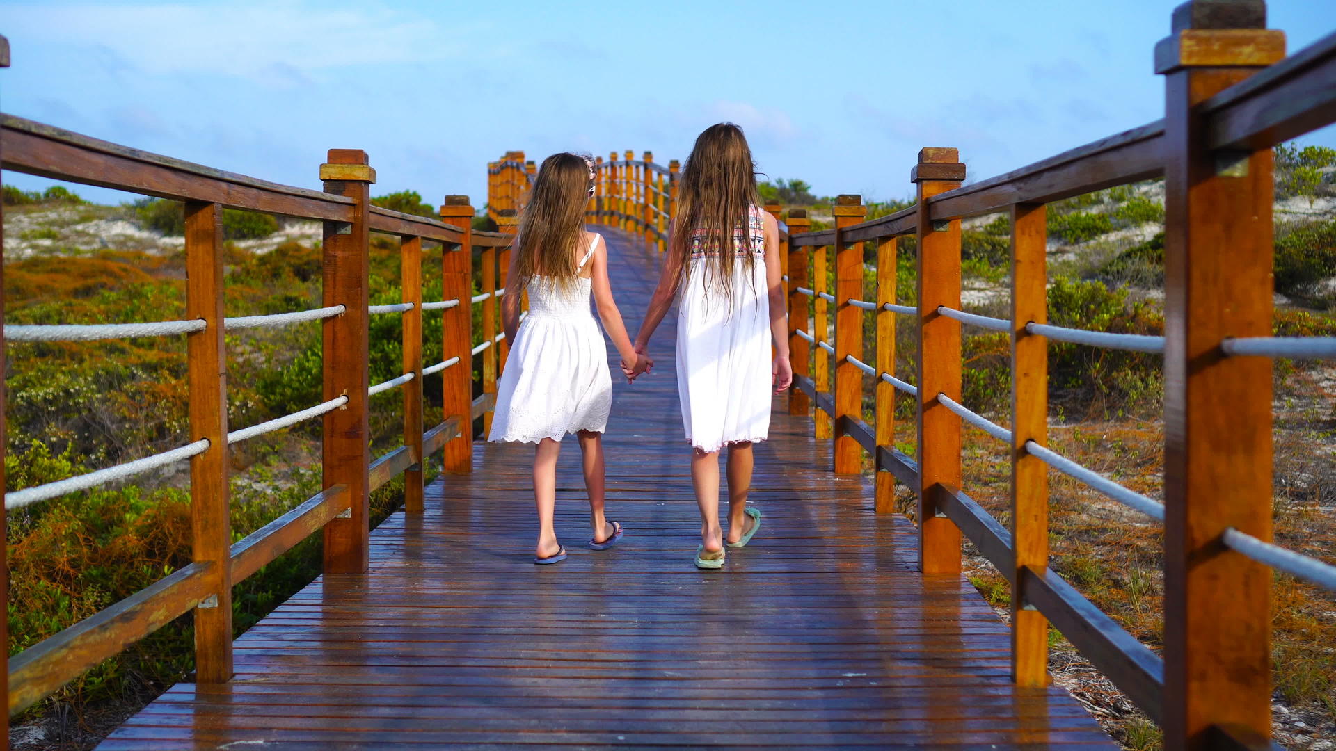 孩子们在去白海滩和绿海的路上木桥上的孩子视频的预览图