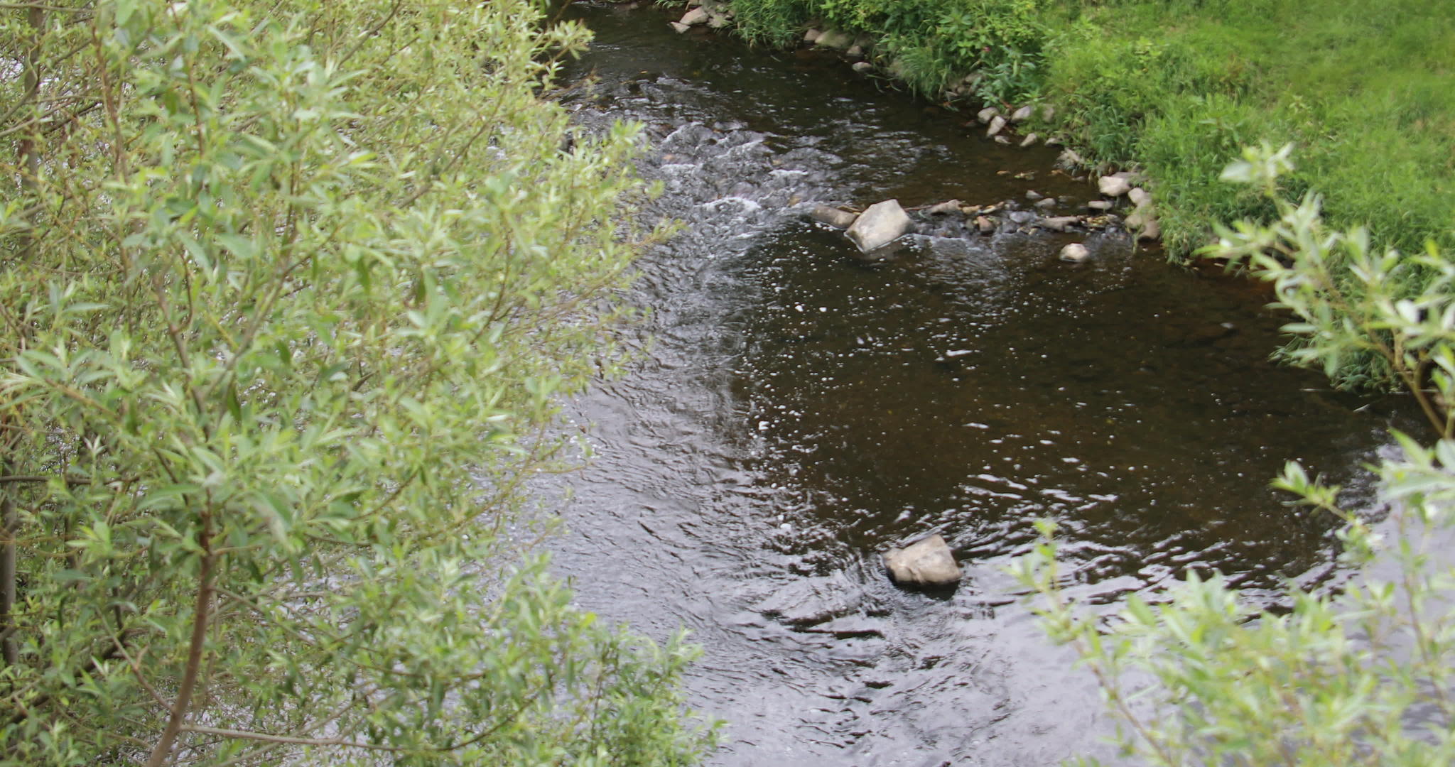 河流沿着河流和草原迅速流过河流视频的预览图