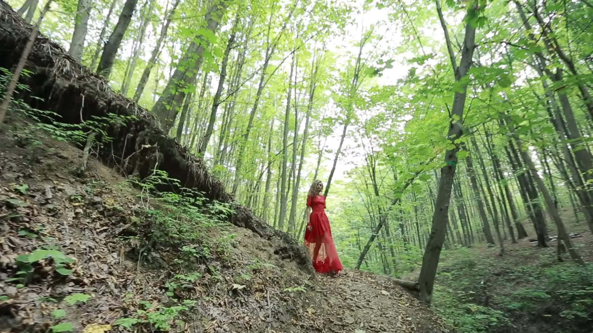 穿红衣服的女人探索美丽的森林视频的预览图