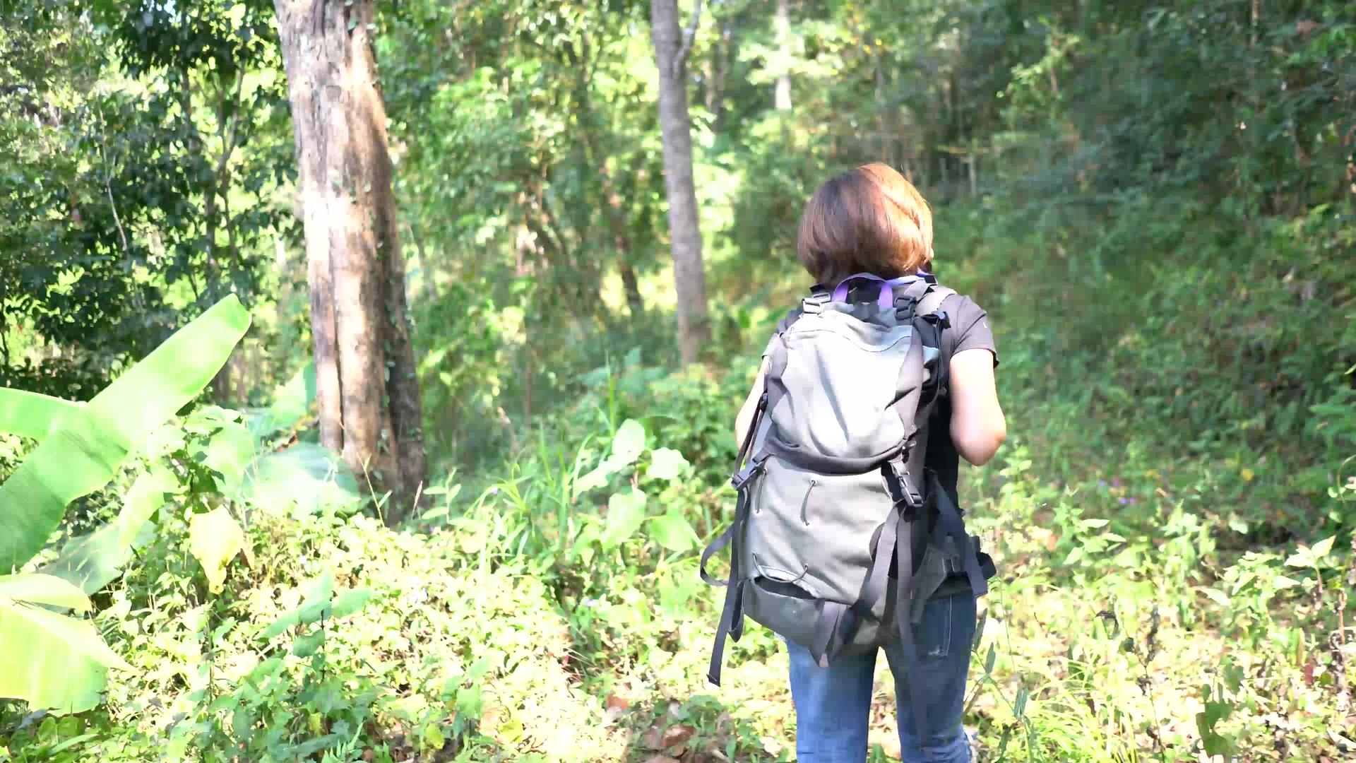 在山上步行到森林视频的预览图