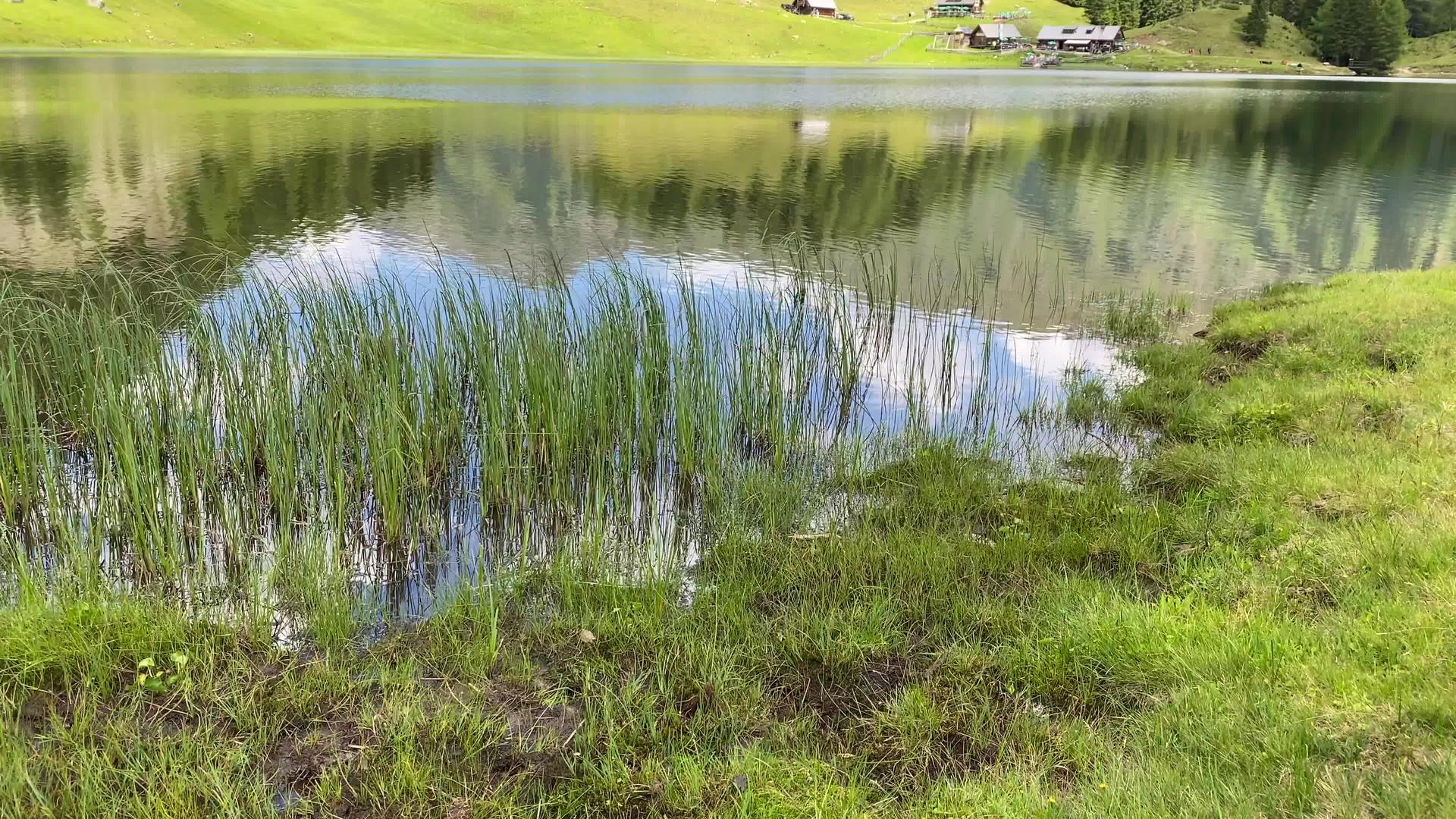 在奥斯特里亚的德伊斯卡湖视频的预览图