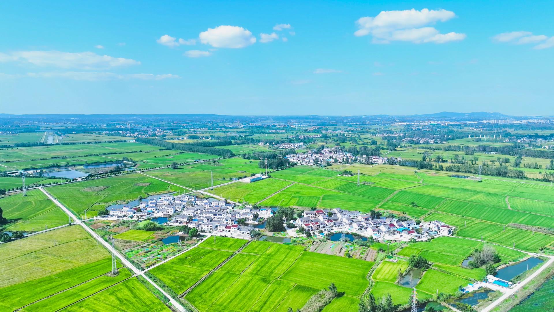 4K航拍美丽乡村房屋村庄农村经济新农村视频的预览图