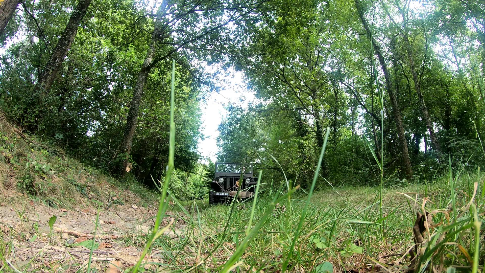 军用车辆在草地上视频的预览图