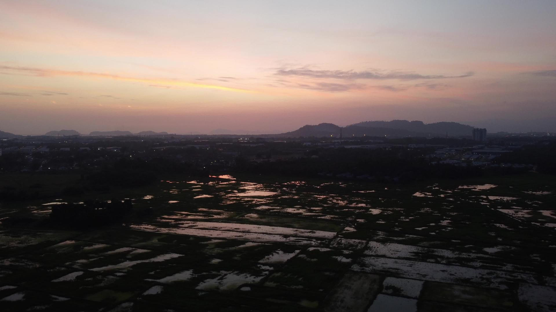 戏剧性的日落稻田视频的预览图