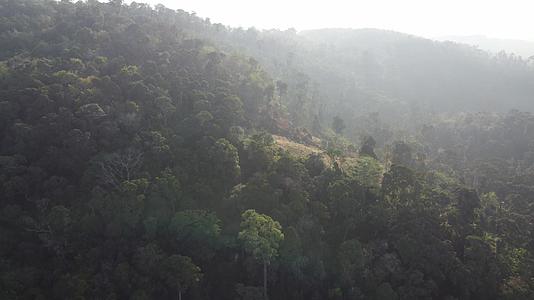 无人驾驶飞机在马来西亚山区的种植园和绿色森林中移动视频的预览图