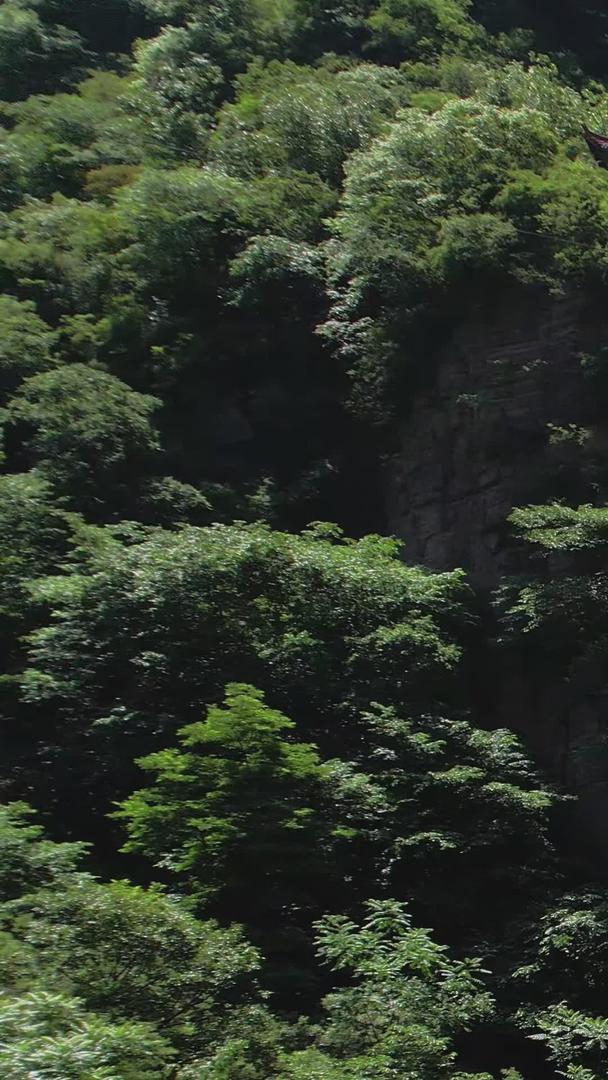 5A龙潭大峡谷景区五龙潭瀑布视频视频的预览图