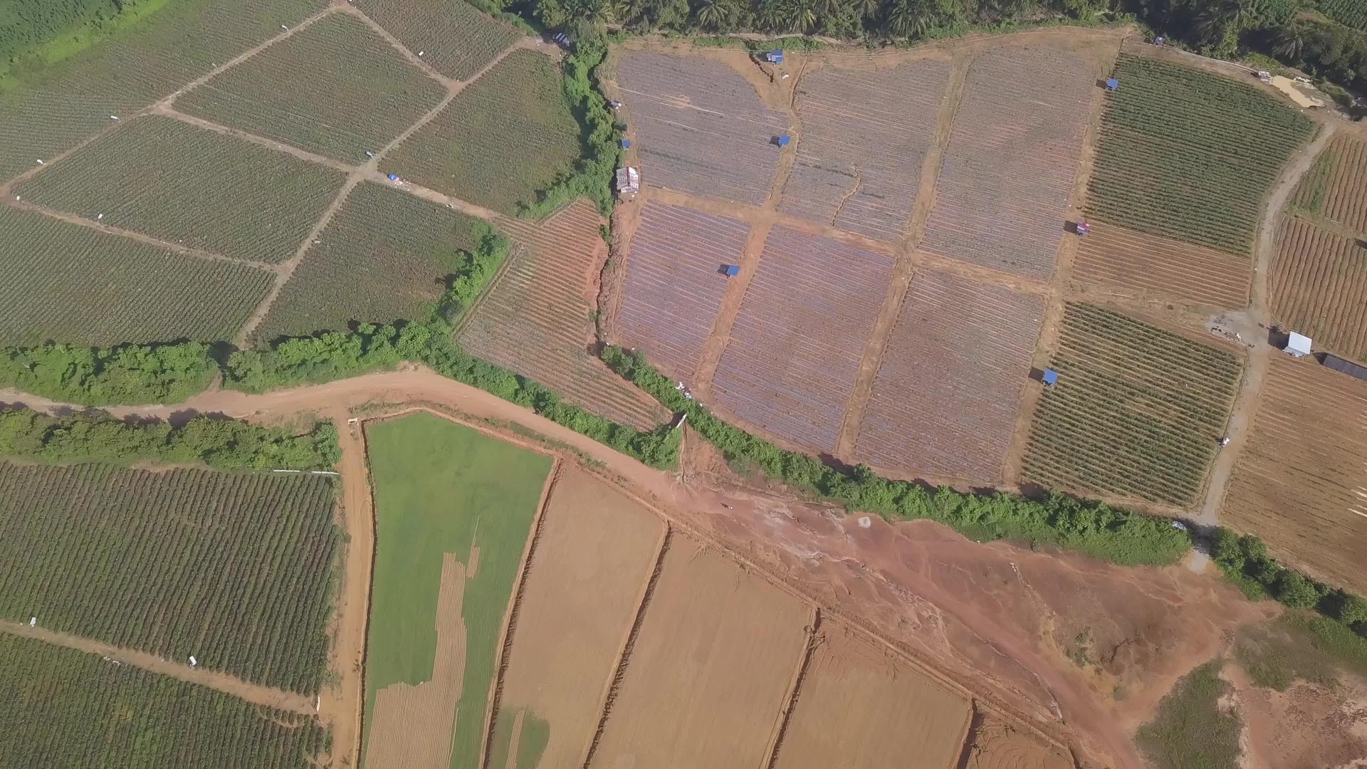 向上向下的空中观景种植园视频的预览图