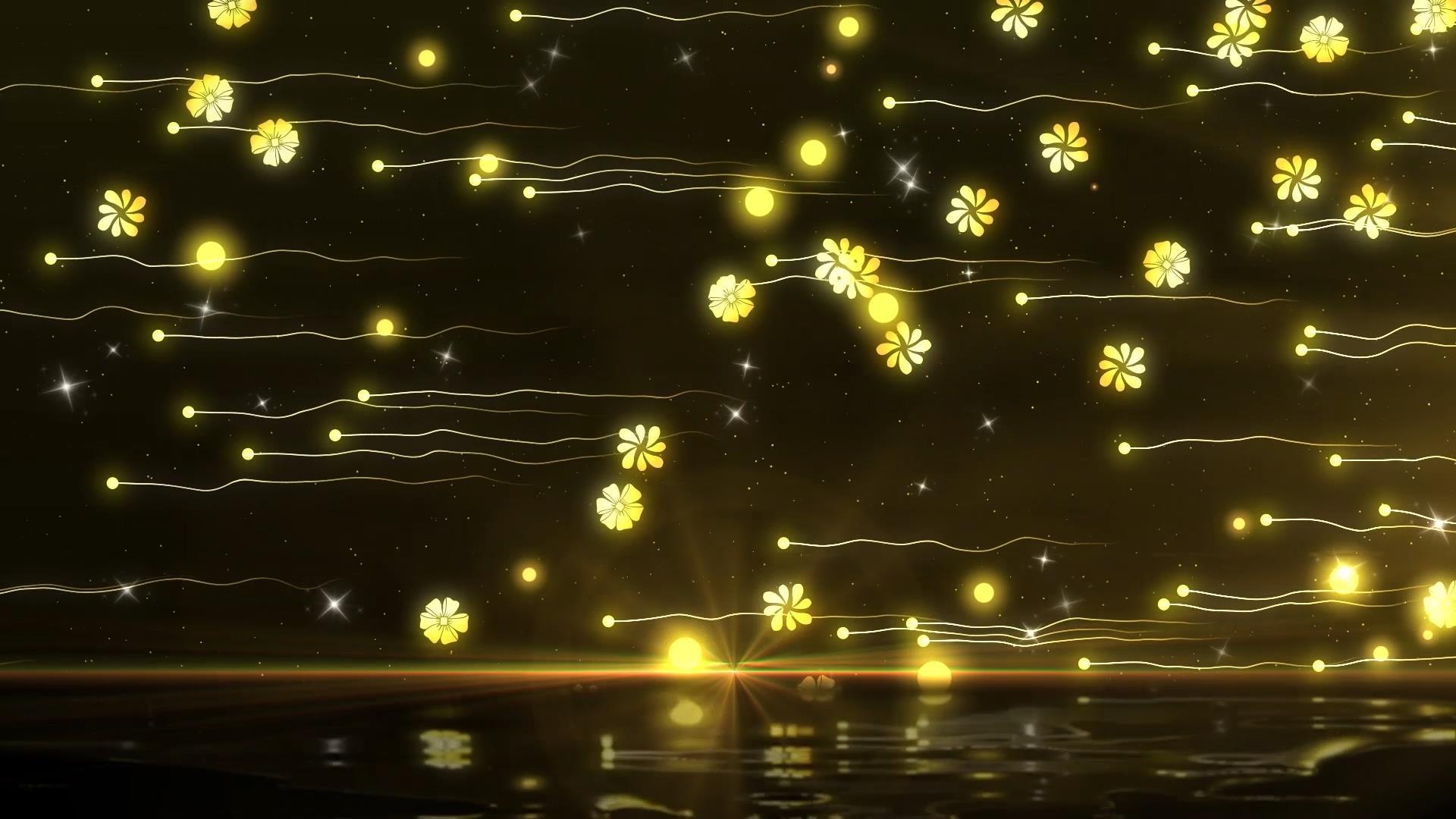 金色唯美大气光效粒子花朵拖尾倒影背景视频素材视频的预览图
