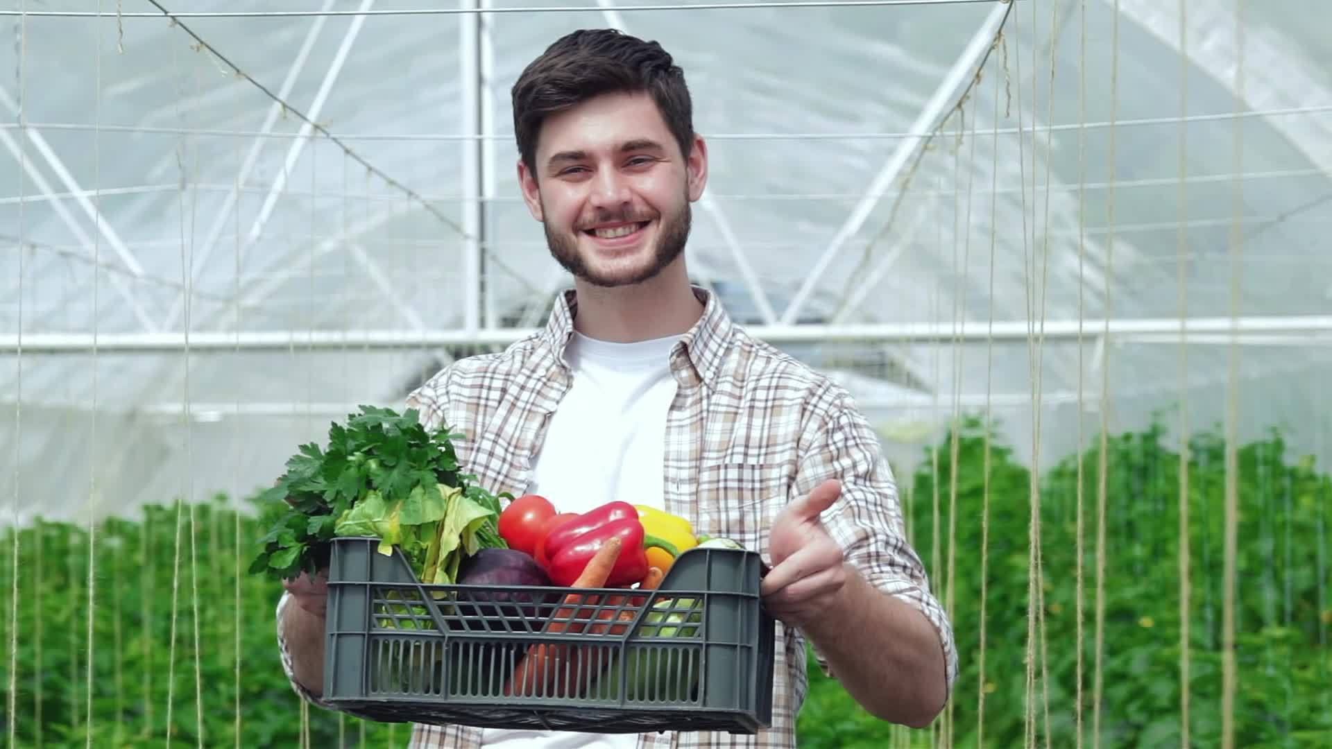 在收获季节工作的家伙展示了一个抽屉里面装满了健康的蔬菜视频的预览图