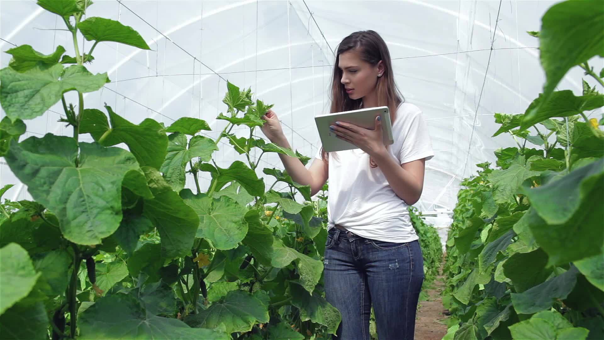 农学家园丁视频的预览图