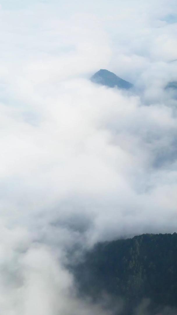 航拍群山云海自然生态仙境视频的预览图